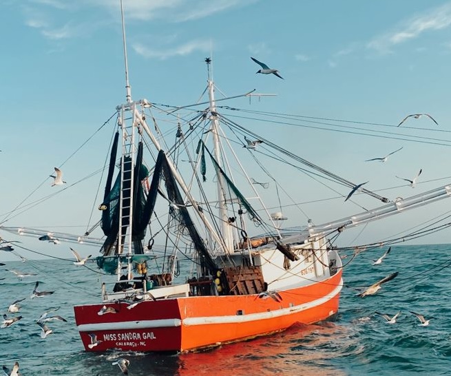 Ubicaciones de Pesca Impresionantes